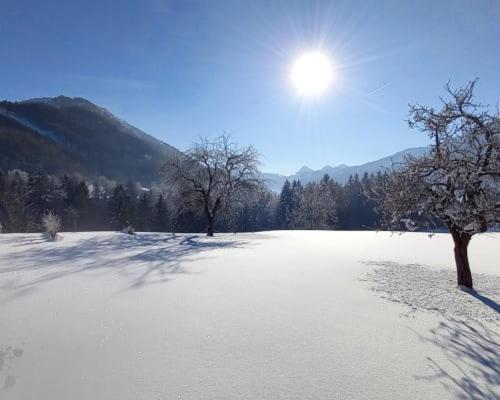 Apartmán Unterwohrlehen Faistenau Exteriér fotografie